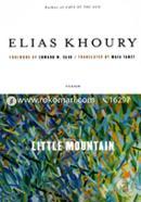 Little Mountain image