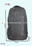 Max School Bag (Grey Color) image