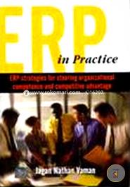 ERP in Practice image