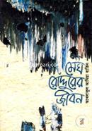 Megh-Roddurer Jibon image