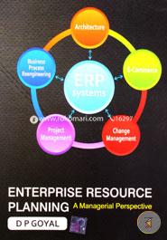 Enterprise Resource Planning a Managerial Perspective image