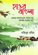 Haur Bangla image