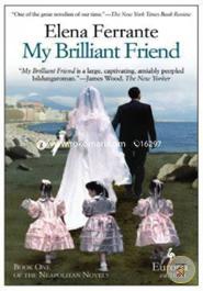 My Brilliant Friend image
