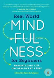 Real World Mindfulness for Beginners: Navigate Daily Life One Practice at a Time image
