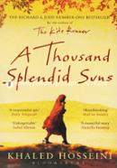 A Thousand Splendid Suns image