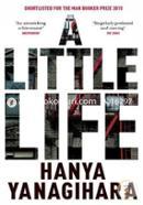 A Little Life image