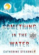 Something in the Water image