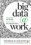Big data at work (English) image