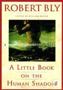A Little Book on the Human Shadow image