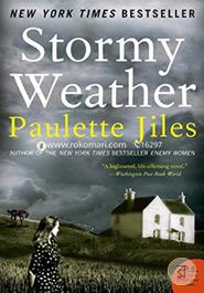Stormy Weather: A Novel image