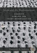 Islam and the Blackamerican: Looking Toward the Third Resurrection image