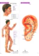 4 Acupunture Charts image