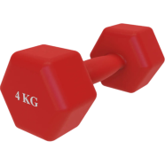 4 KG Vinyl Dumbbell 1 Pair image