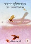 Aapel Ghumiye Achhe (Shodesh Sener Kobitasomogro) image