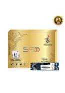 Teutons SSD Iridium M.2 2280 - 120GB image
