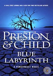 Blue Labyrinth image