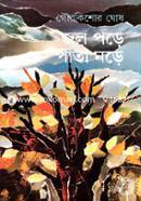 Jol Pore Pata Nore image