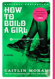 How to Build a Girl image