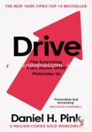 Drive: The Surprising Truth About What Motivates Us image