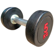5 kg PU Dumbbell China Special Quality image