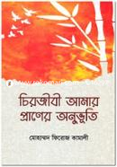Chirojibi Amar Praner Onuvuti image