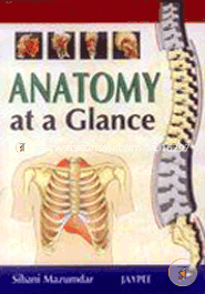 Anatomy at a Glance (Paperback) image