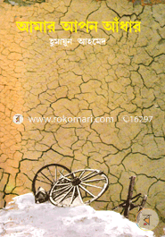 আমার আপন আঁধার image