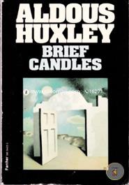 Brief Candles (Flamingo modern classics) image