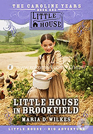 Little House in Brookfield