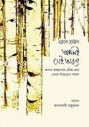 Amie Shei Aranya image