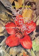 Jhora Shimuler Kabbyo image