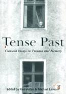 Tense Past: Cultural Essays in Trauma and Memory image