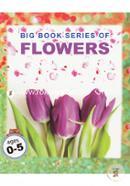 Big Book Series Of Flowers (0-5 Ages) image