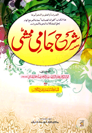 Sharhe Jami (Jamat-Shorohe Jami) (Ek Color O Hostolikhito) image
