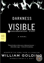 Darkness Visible: A Novel (FSG Classics) image