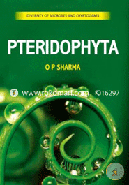 Pteridophyta image