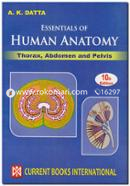 Essentials of Human Anatomy : Thorax, Abdomen and Pelvis (Vol-1) image