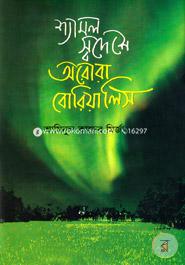 Shaymal Shadeshe Aurora Borealis image