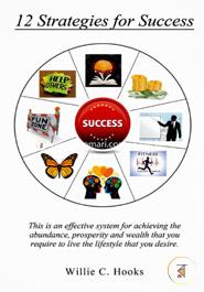 12 Strategies for Success image