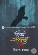 বিবর্ণ আকাশের চিল image