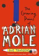 The Growing Pains of Adrian Mole image