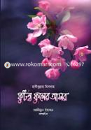 Phuṭanta Phuler Asar image