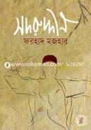 Sadruddin image