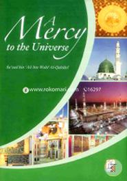 A Mercy to the Universe image