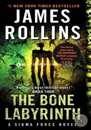 Bone Labyrinth : A Sigma Force Novel image