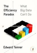 The Efficiency Paradox What Big Data Can't Do image