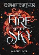 A Fire in the Sky image