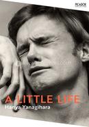 A Little Life image