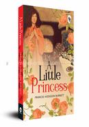 A Little Princess image