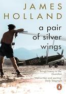 A Pair of Silver Wings image